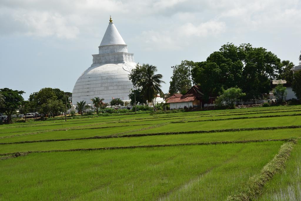 K Holiday Tissamaharama Buitenkant foto